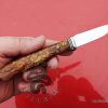 Small vegetable knife the dream of the hostess